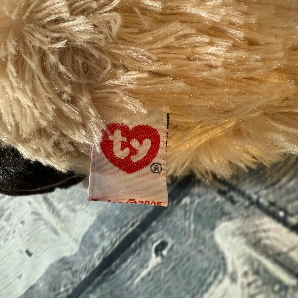 Vintage Ty Classic Beanie Babies 2005 "Cassidy" the Cat 8" Plush Toy - MWMT - Picture 11 of 12